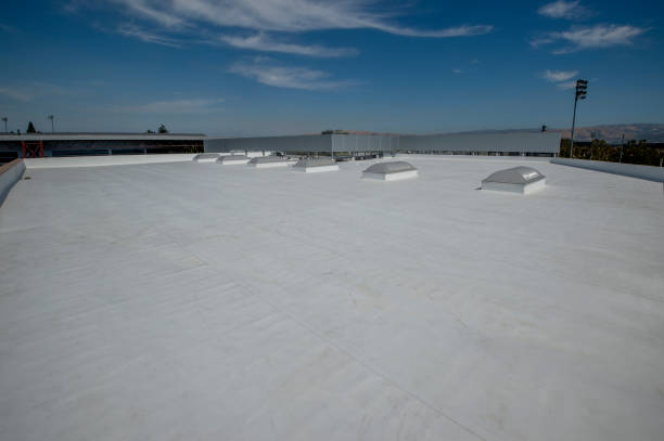 Best Solar Panel Roofing Installation  in Farngton, MI