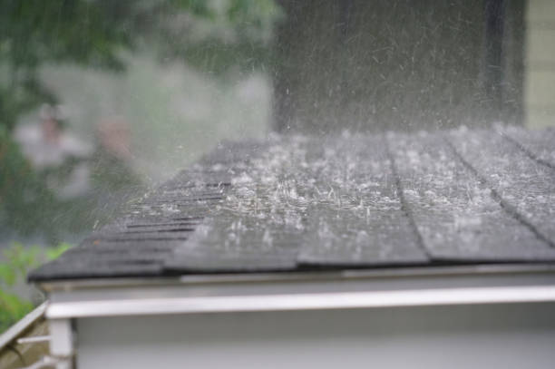 Best Roof Coating and Sealing  in Farngton, MI